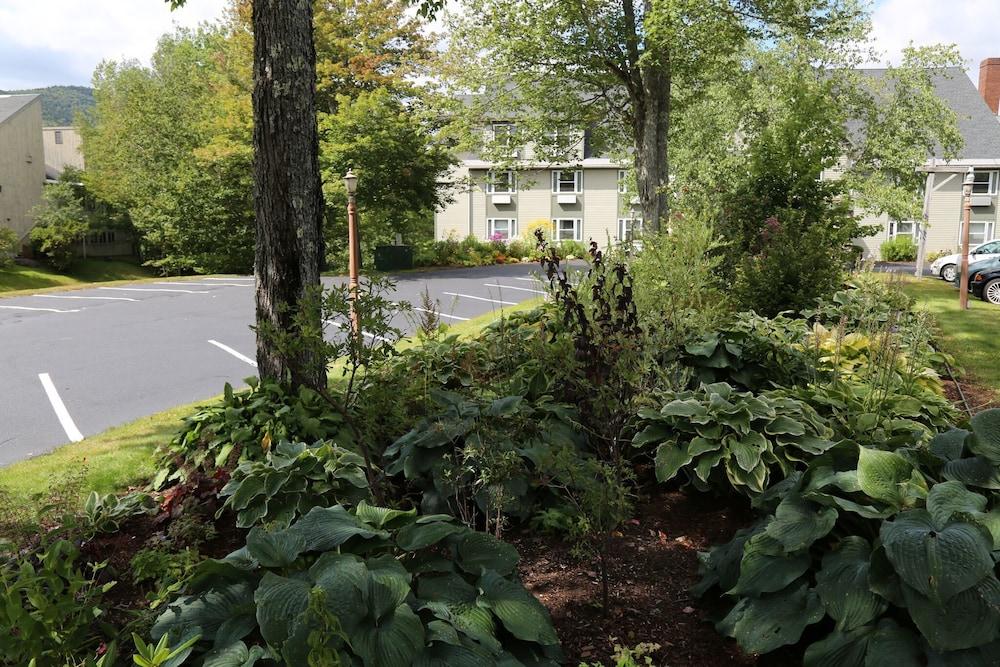 Silver Fox Inn Waterville Valley Esterno foto