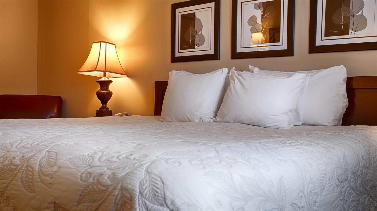 Silver Fox Inn Waterville Valley Esterno foto